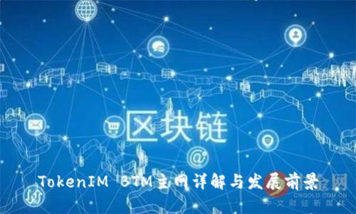 TokenIM BTM主网详解与发展前景