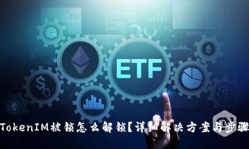 TokenIM被锁怎么解锁？详细解决方案与步骤