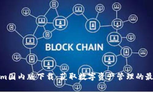 Tokenim国内版下载：获取数字资产管理的最佳工具