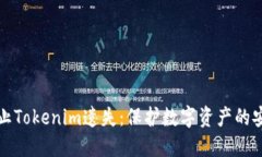如何防止Tokenim遗失：保护