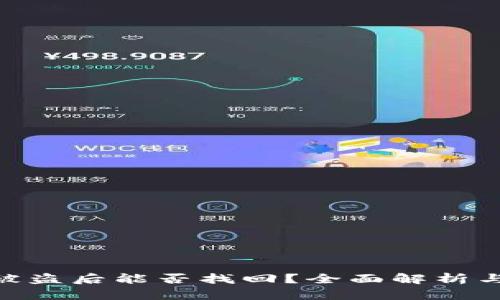 TokenIM被盗后能否找回？全面解析与应对策略